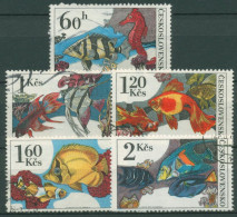 Tschechoslowakei 1975 Zierfische: Tigerbarsch, Seepferdchen 2260/64 Gestempelt - Usados