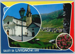 10698070 Forcola Di Livigno Forcola Di Livigno  * Forcola Di Livigno - Autres & Non Classés