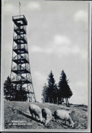 10698063 Bachtel Kulm Bachtel  * Bachtel Kulm - Sonstige & Ohne Zuordnung