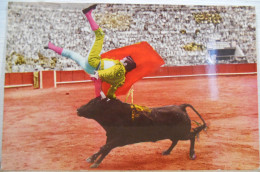 Corrida Detoros - Corrida