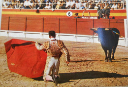 Corrida Detoros - Stierkampf