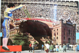 Corrida De Toros El Miguelin - Stierkampf