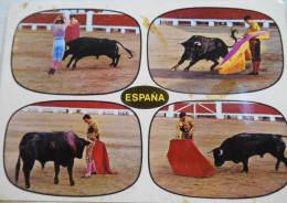 Corrida De Toros - Corrida