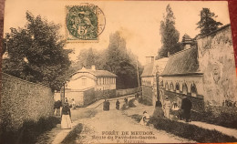 Forêt De Meudon Route Du Pavé Des Gardes - Meudon