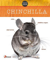 CHINCHILLA - Other & Unclassified