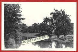 Carte-photo à Identifier Cachet Postal De Nordenham (Niedersachsen) 2scans 23-12-1965 - Nordenham