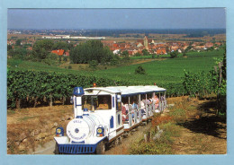 CP 68 - Eguisheim - Le Petit Train Eguisheim - Le Vignoble - Other & Unclassified