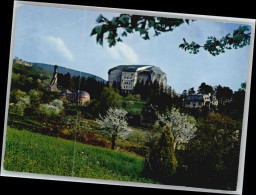 10696893 Dornach SO Dornach Goetheanum * Dornach - Otros & Sin Clasificación
