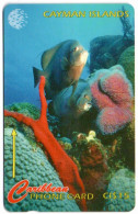 Cayman Islands - Fish & Coral - 64CCIC - Islas Caimán