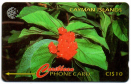 Cayman Islands - Broadleaf Flower - 94CCIB (with Ø) - Kaaimaneilanden