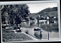 10696619 Stein Rhein Stein Rhein Schloss Hohenklingen * Stein Am Rhein - Andere & Zonder Classificatie