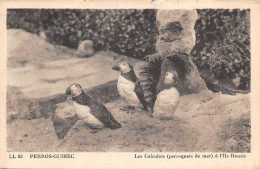 22-PERROS GUIREC-N°361-H/0231 - Perros-Guirec