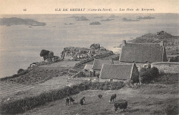 22-ILE DE BREHAT-N°361-G/0141 - Ile De Bréhat