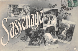 38-SASSENAGE-N°364-C/0357 - Sassenage