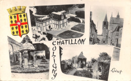 45-CHATILLON COLIGNY-N°365-E/0191 - Chatillon Coligny