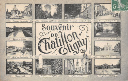 45-CHATILLON COLIGNY-N°365-E/0175 - Chatillon Coligny
