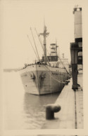 TSFONIT Tsfonit * Carte Photo * Bateau Commerce Paquebot Cargo * Juif Judaica Haïfa Israël Jew Jewish Jud Juden - Commerce