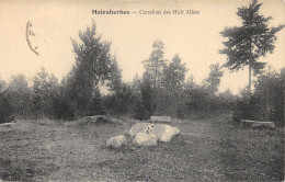 45-MALESHERBES-N°365-G/0135 - Malesherbes