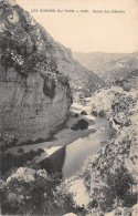 48-DETROITS DES GORGES DU TARN-N°366-C/0301 - Autres & Non Classés