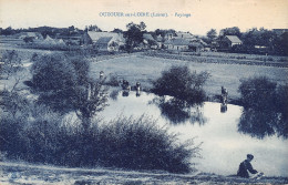 45-OUZOUER SUR LOIRE-N°366-A/0203 - Ouzouer Sur Loire