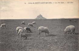 50-LE MONT SAINT MICHEL-LES PRES SALES-N°366-G/0161 - Le Mont Saint Michel