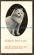 R109903 Greetings. A Joyous Xmas To You. Cat - Welt