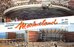 R111000 Greetings From Marineland Of The Pacific. 1958. B. Hopkins - Welt