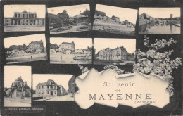 53-MAYENNE-N°367-F/0293 - Mayenne