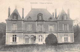 58-SAINCAIZE-CHÂTEAU DE TREMIGNY-N°369-G/0303 - Otros & Sin Clasificación