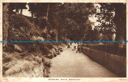 R111055 Madeira Walk. Exmouth. Tuck. 1948 - Welt