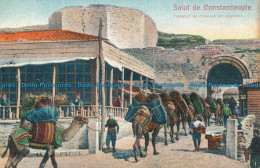 R111058 Salut De Constantinople. Transport De Charbons Par Chameaux - Welt