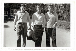 Photo Ancienne, Trois Jeunes Hommes Ivres, De Beaux Mecs Affectueux Qui Traînent, Gay Int, Années 1950 - Zonder Classificatie