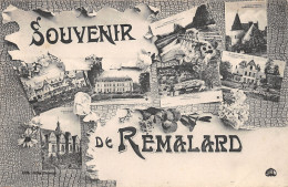 61-REMALARD-N°371-A/0353 - Remalard