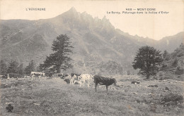 63-LE MONT DORE-N°371-F/0095 - Le Mont Dore