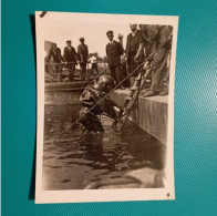 Foto (Germania) - Deutsches Eck, Crollato Durante La Celebrazione Della Liberazione. - Europe