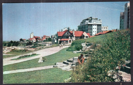 Argentina - 1965 - Mar Del Plata - Parque Gral. San Martin - Argentine