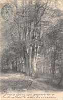 77-FONTAINEBLEAU-LA FORET-N°375-C/0157 - Fontainebleau