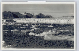50516211 - Spitzbergen - Norwegen