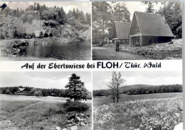 50779811 - Floh - Altri & Non Classificati