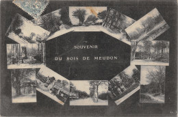 92-MEUDON-LE BOIS-N°379-E/0241 - Meudon