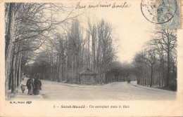 94-SAINT MANDE-N°380-D/0375 - Saint Mande