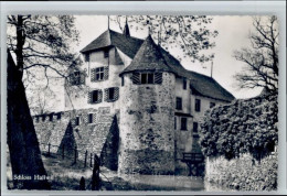10694987 Hallwil Hallwil Schloss * Hallwil - Autres & Non Classés