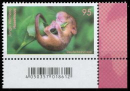 BRD BUND 2020 Nr 3563 Postfrisch ECKE-URE SEE156A - Unused Stamps