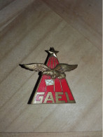 INSIGNE GAEL Groupe Aérien Entrainement Liaisons - Luftwaffe