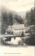 Wolfsbachmühle Bei Hohegeiss - Braunlage