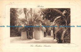 R110533 Biskra. Les Jardins London. 1911. B. Hopkins - Otros & Sin Clasificación
