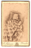 Fotografie Th. Hofmann, Dresden, Pragerstrasse 25, Portrait Süsses Kleinkind Im Karierten Kleid  - Personnes Anonymes