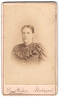 Fotografie Emil Winzer, Potschappel, Dresdner Strasse, Portrait Bürgerliche Dame In Hübscher Kleidung  - Anonyme Personen