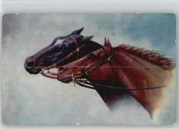 12005411 - Pferde Pferdekoepfe - 1916 AK - Caballos