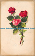 R111195 Old Postcard. Red Roses - Welt